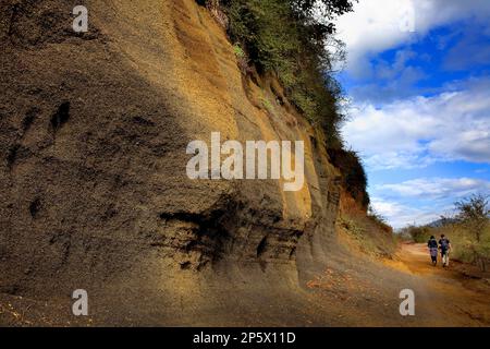 Weg zum Krater des Vulkans Croscat, Naturpark der Garrotxa, Provinz Girona. Katalonien. Spanien Stockfoto