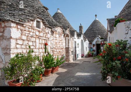 Die italienischen Trulli-Häuser in Alberobello, Apulien, zeigen die traditionelle, mittelalterliche Kultur der Lebensräume der Halbinsel. Stockfoto