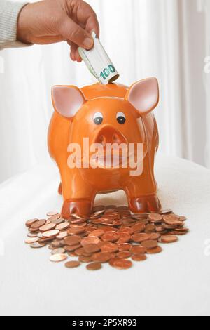 Einen 100-Euro-Schein in eine Schweinebank zu stecken Stockfoto