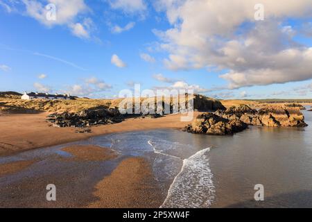 Blick über einen kleinen Sandstrand zu alten Pilot's Cottages auf Llanddwyn Island National Nature Reserve in AONB. Newborough Anglesey North Wales Großbritannien Stockfoto