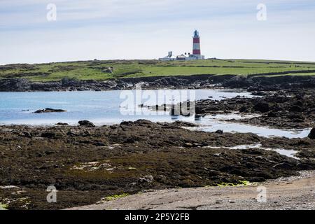 Blick über die Bucht zum Leuchtturm mit den grauen Seehunden, die sich auf Felsen sonnen. Ynys Enlli oder Bardsey Island, Llyn Peninsula, Gwynedd, North Wales, UK, Großbritannien Stockfoto