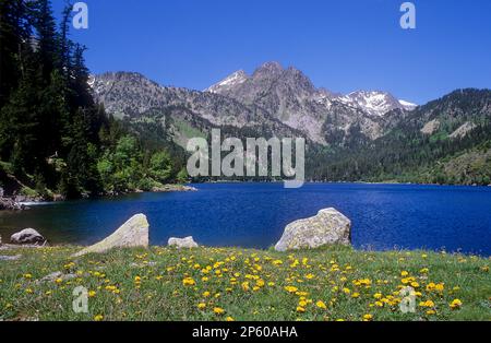 Estany de Sant Maurici'Sant Maurici See, Aigüestortes i Estany de Sant Maurici Nationalpark, Pyrenäen, Provinz Lleida, Katalonien, Spanien. Stockfoto