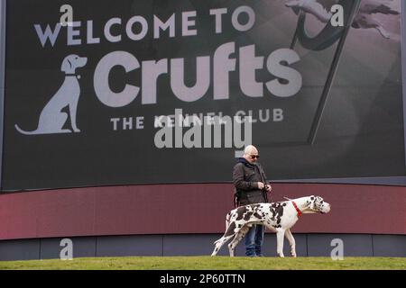 Eine Harlequin Great Dane namens H bei einem Fototermin zur Eröffnung der diesjährigen Crufts im National Exhibition Centre (NEC) in Birmingham. Foto: Dienstag, 7. März 2023. Stockfoto