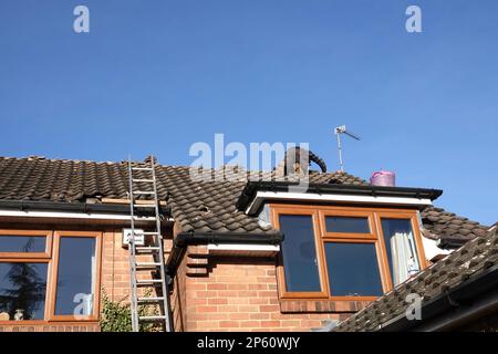 Ein Dachdecker, der Kammfliesen auf dem Dach eines Hauses repariert Stockfoto