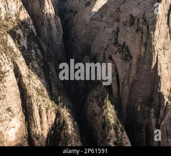 Im Zion Canyon gegenüber vom Deer Trap Mountain am Ostrand Stockfoto