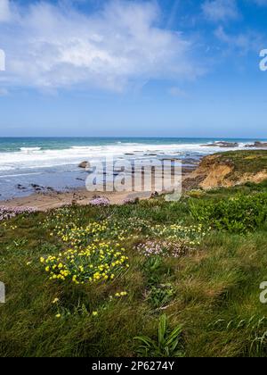 Bude Küstenstadt im Nordosten Cornwalls, England Stockfoto