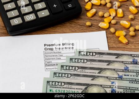 Ernteversicherung mit Sojabohnen und Mais. Konzept des Ertragsverlustes, der Hagel- und Windfeldschäden und der Einkommenssicherung landwirtschaftlicher Betriebe. Stockfoto