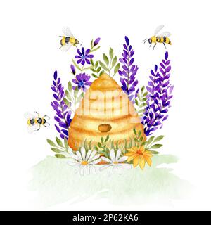 Aquarell-Illustration mit einem wilden Bienenstock in Lavendel- und Kamillenblüten. Bienen, Wildblumen und Gras. Design für Produkte mit Honig. Isoliert Stockfoto