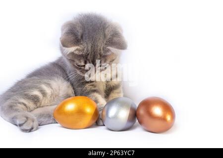 Ein kleines, grau gestreiftes Kätzchen spielt mit farbigen Eiern, die auf einem weißen Bett liegen. Ein fröhlicher Frühlingsurlaub. Ostern mit Haustieren Stockfoto