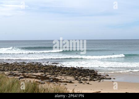 Wellen schwingen in die Bucht am Shelly Point - einer der besten Surfplätze in Tasmanien Stockfoto