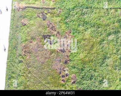 Luftaufnahme von Landkarten mit einem unbemannten Luftfahrzeug in Bogor, Indonesien. Stockfoto