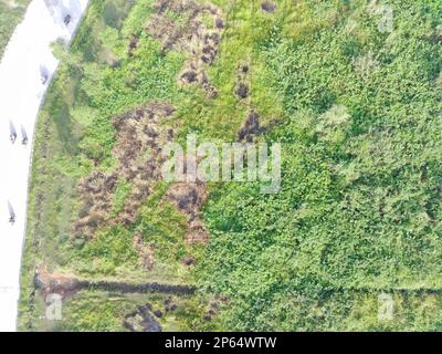 Luftaufnahme von Landkarten mit einem unbemannten Luftfahrzeug in Bogor, Indonesien. Stockfoto