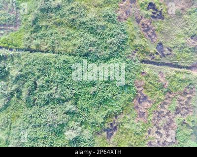 Luftaufnahme von Landkarten mit einem unbemannten Luftfahrzeug in Bogor, Indonesien. Stockfoto