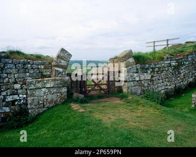 Milecastle 37, Hadrians Mauer, Whin Sill, Northumberland. Erster Kilometer westlich von Housesteads. Blick nach Norden durch das Tor zur römischen Mauer. Stockfoto