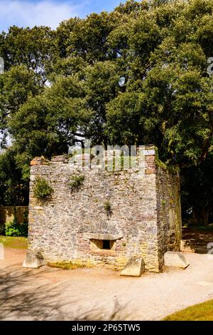 Mount Edgecombe Gardens Plymouth Stockfoto