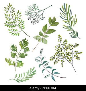 Frühlingskunstdruck mit botanischen Elementen. Stock Vektor