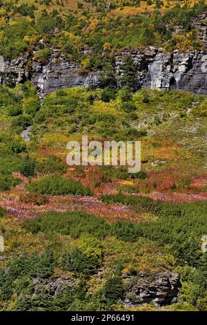 Wunderschöne Herbstlandschaft mit Blick auf die Pisten von Paradise Meadow von der Sun Road im Glacier National Park, Montana, USA Stockfoto