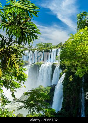 Ein Blick von der unteren Strecke an den Iguazu-Fällen, UNESCO-Weltkulturerbe, Provinz Misiones, Argentinien, Südamerika Stockfoto