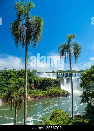 Ein Blick von der unteren Strecke an den Iguazu-Fällen, UNESCO-Weltkulturerbe, Provinz Misiones, Argentinien, Südamerika Stockfoto