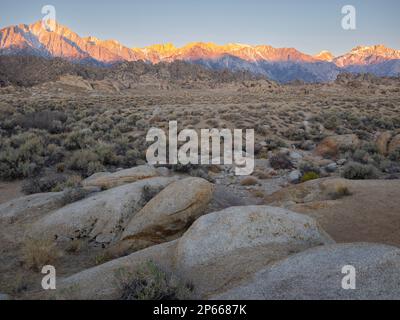 Sonnenaufgang auf der östlichen Sierra Nevadas in der Alabama Hills National Scenic Area, Kalifornien, USA, Nordamerika Stockfoto