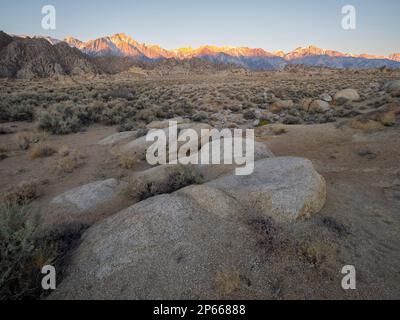 Sonnenaufgang auf der östlichen Sierra Nevadas in der Alabama Hills National Scenic Area, Kalifornien, USA, Nordamerika Stockfoto