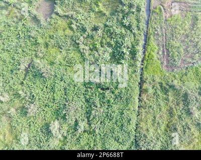 Luftaufnahme von Landkarten mit einem unbemannten Luftfahrzeug in Bogor, Indonesien. Stockfoto