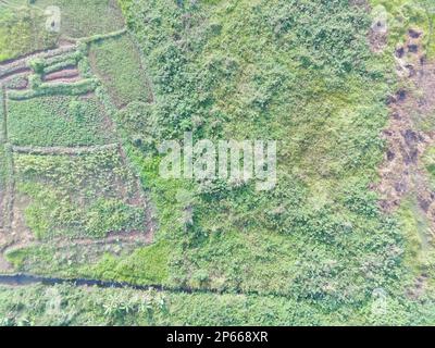 Luftaufnahme von Landkarten mit einem unbemannten Luftfahrzeug in Bogor, Indonesien. Stockfoto