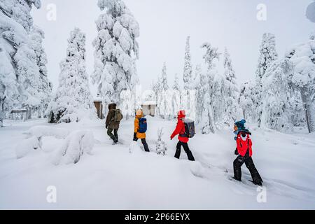 Glückliche Familie, die im verschneiten Wald spaziert, ISO Syote, Nordostrobothnia, Lappland, Finnland, Europa Stockfoto