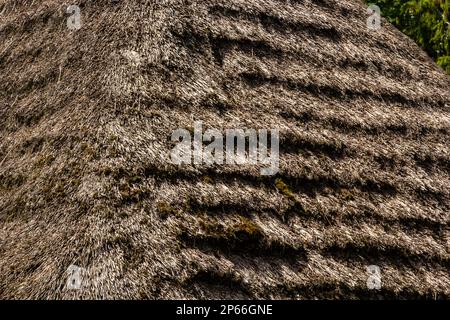 Strohdachstruktur. Gräser strohen Dachhintergrund. Dach mit getrocknetem Gras bedeckt. Strohmuster. Stockfoto