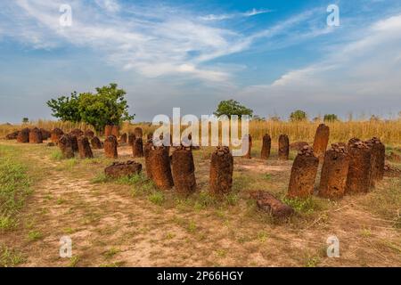 Senegambianische Steinkreise, UNESCO-Weltkulturerbe, Wassu, Gambia, Westafrika, Afrika Stockfoto