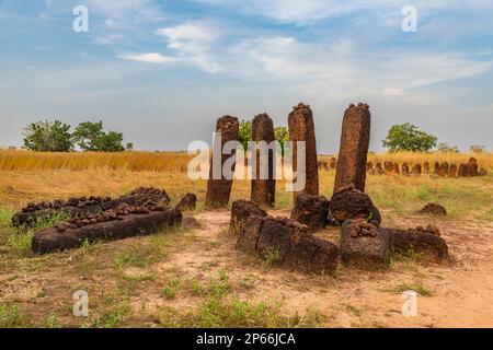 Senegambianische Steinkreise, UNESCO-Weltkulturerbe, Wassu, Gambia, Westafrika, Afrika Stockfoto