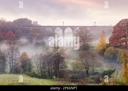 Morgennebel zwischen herbstfarbenen Bäumen und Eisenbahnviadukt auf der Dane-in-Shaw-Weide, Cheshire, England, Großbritannien, Europa Stockfoto