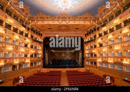 Innenausstattung des Gran Teatro La Fenice, Venedig, Venetien, Italien, Europa Stockfoto