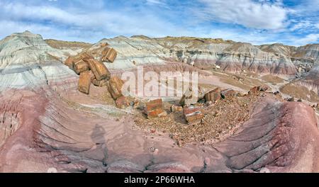 Riesige Stücke gebrochenes versteinertes Holz im Jasper Forest im Petrified Forest National Park, Arizona, USA, Nordamerika Stockfoto