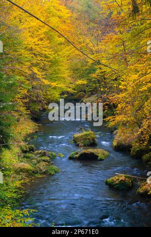 Kamenice River im Herbst, Nationalpark Böhmische Schweiz, Hrensko, Decin District, Usti nad Labem Region, Tschechische Republik (Tschechien), Europa Stockfoto