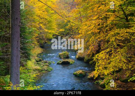 Kamenice River im Herbst, Nationalpark Böhmische Schweiz, Hrensko, Decin District, Usti nad Labem Region, Tschechische Republik (Tschechien), Europa Stockfoto