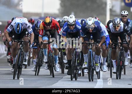 Niederländischer Fabio Jakobsen von Soudal Quick-Step, belgischer Jasper Philipsen von Alpecin-Deceuninck und kolumbianischer Fernando Gaviria von Movistar Team, dargestellt in Aktion während der zweiten Etappe des Radrennens Tirreno-Adriatico, von Camaiore bis Follonica, Italien (209 km), Dienstag, 07. März 2023. BELGA FOTO DIRK WAEM Stockfoto