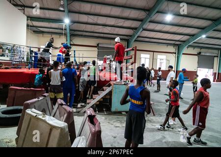 Junge Boxer in der Ausbildung, Boxing Academy Trejo, Havanna, Kuba, West Indies, Karibik, Mittelamerika Stockfoto