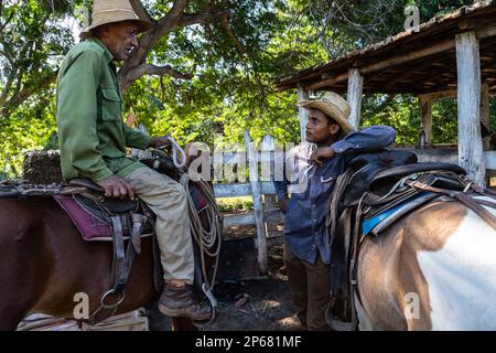 Cowboys in Gesprächen, mit ihren Pferden, auf einer Farm in der Nähe von Trinidad, Kuba, den Westindischen Inseln, der Karibik, Mittelamerika Stockfoto