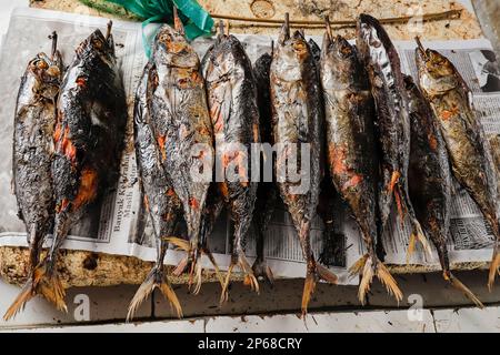 Gegrillter Cakalang-Fisch (Skipjack Tuna) zum Verkauf in der Hauptstadt Ulu, Insel Siau, Inselgruppe Sangihe, Nordsulawesi, Indonesien, Südostasien Stockfoto