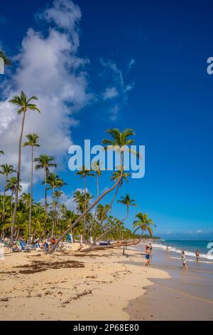 Blick auf Meer, Strand und Palmen an einem sonnigen Tag, Bavaro Beach, Punta Cana, Dominikanische Republik, Westindischen Inseln, Karibik, Mittelamerika Stockfoto