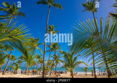 Blick auf Meer, Strand und Palmen an einem sonnigen Tag, Bavaro Beach, Punta Cana, Dominikanische Republik, Westindischen Inseln, Karibik, Mittelamerika Stockfoto