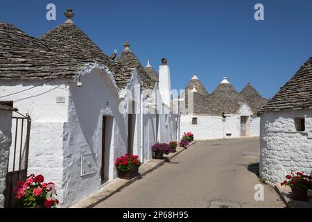 Weiße Trulli-Häuser entlang der Straße in der Altstadt, Alberobello, UNESCO-Weltkulturerbe, Apulien, Italien, Europa Stockfoto