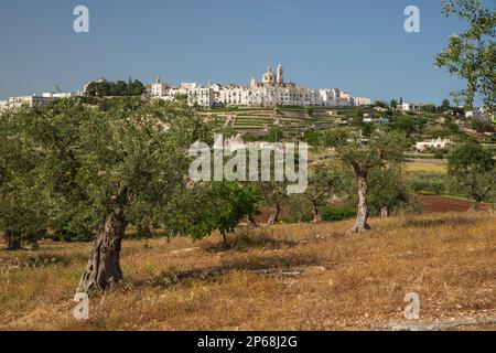 Locorotondo Stadt auf einem Hügel mit Trulli Häusern und Olivenhain im Valle d'Itria, Locorotondo, Apulien, Italien, Europa Stockfoto