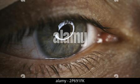 Grünes Auge-Nahaufnahme mit Kapillaren. Das Konzept der Augenheilkunde und Medizin. Extreme Makroauge. Große Pupille. Ansichten in verschiedene Richtungen Stockfoto