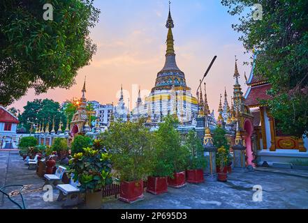 Genießen Sie den Sonnenuntergang im grünen Garten von Wat Buppharam mit dem alten Chedi hinter den Pflanzen in Töpfen, Chiang Mai, Thailand Stockfoto