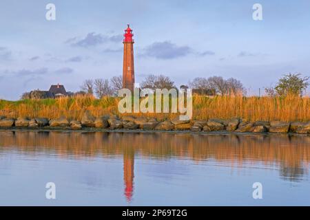 Flügge / Leuchtturm Fluegge auf Fehmarn in der Ostsee, Ostholstein, Schleswig-Holstein, Deutschland Stockfoto