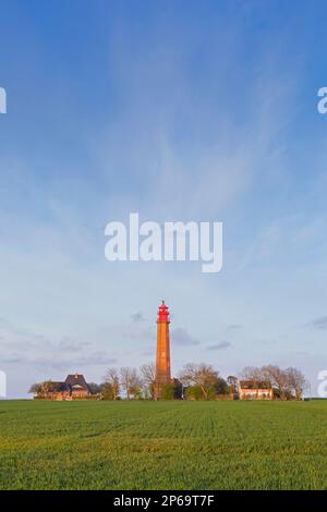 Flügge / Leuchtturm Fluegge auf Fehmarn in der Ostsee, Ostholstein, Schleswig-Holstein, Deutschland Stockfoto