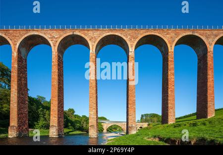 Sommeransicht des Leaderfoot Viaduct über dem Fluss Tweed bei Melrose an der schottischen Grenze in Schottland, Großbritannien Stockfoto