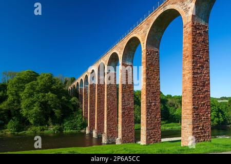 Sommeransicht des Leaderfoot Viaduct über dem Fluss Tweed bei Melrose an der schottischen Grenze in Schottland, Großbritannien Stockfoto